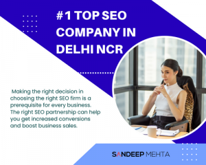 SEO Company in Delhi NCR