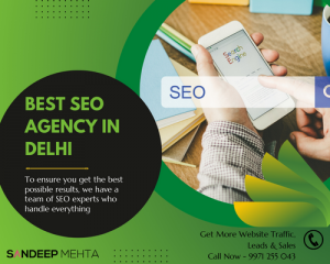 Best Search Engine Optimization Agency in Delhi