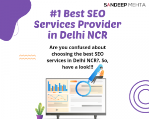 #1 Best SEO Services Provider in Delhi NCR