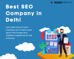 Delhi Best SEO Company