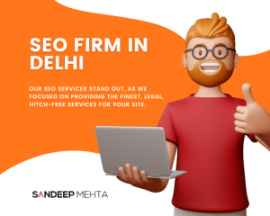 Delhi SEO Firm