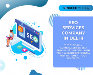 Delhi Best SEO Services Company